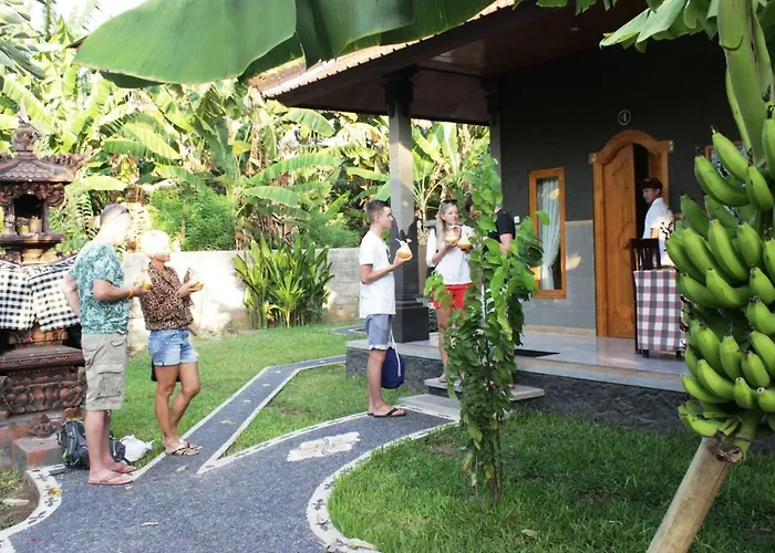 Kubu Padi Wooden House